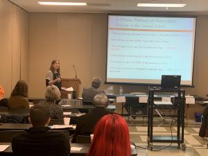 Diana Cuddeback of the St. Clair County Suicide Prevention Alliance presenting data on suicide. 